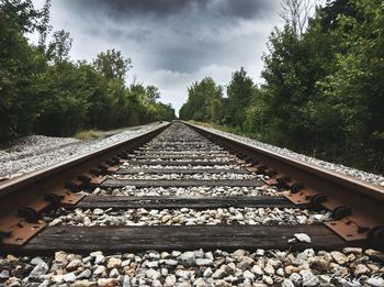 Tree railroad track rail transportation railroad tie sky cloud - sky gravel vanishing point