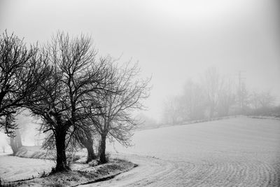 Bare trees on snow covered landscape