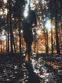 Sun shining through trees in forest