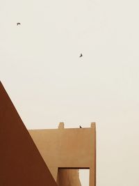 Low angle view of bird flying against clear sky