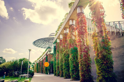 Plants growing in park against sky