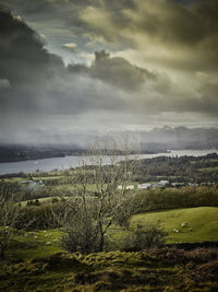 Scenic view of landscape against sky