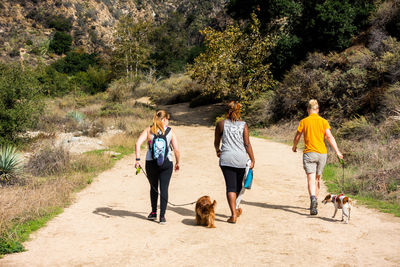 Rear view of friends with dogs walking on road amidst forest