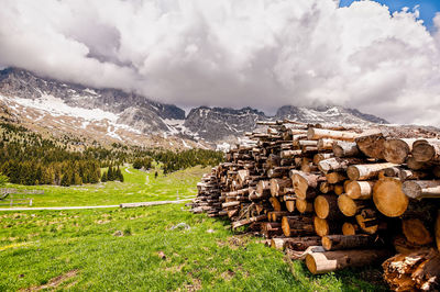 Stack of logs on field by mountain against sky