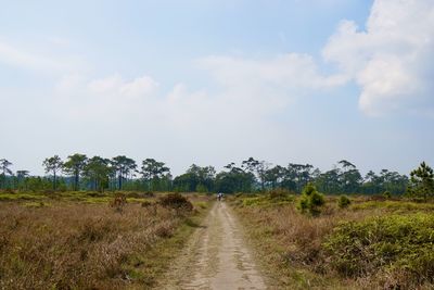 Road amidst plants on field against sky