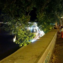 High angle view of trees at night