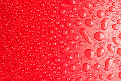 Droplets of water on a red, matte background illuminated with a delicate light.