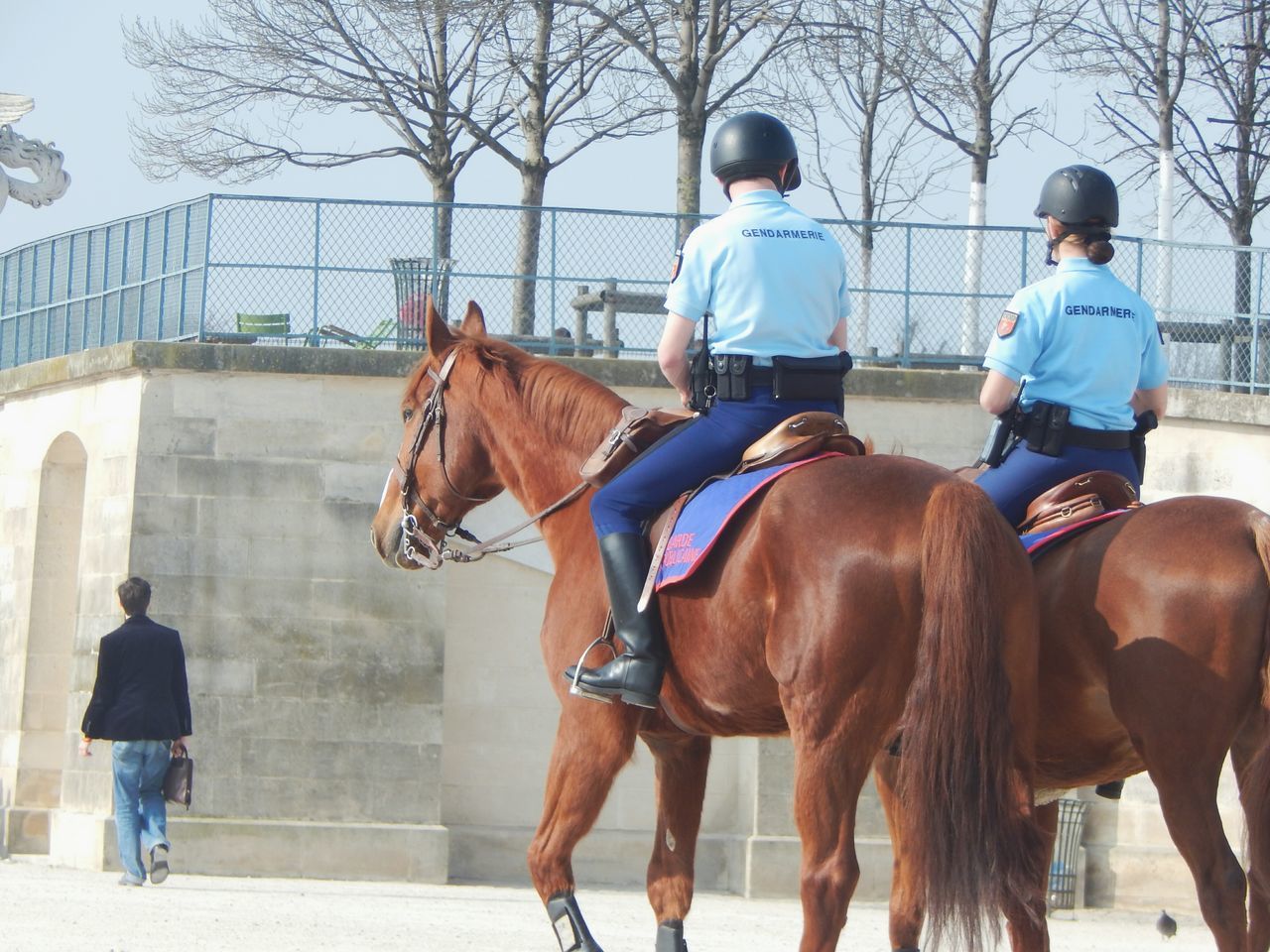 horse, domestic animals, animal themes, working animal, mammal, livestock, men, standing, togetherness, two animals, riding, full length, herbivorous, horseback riding, rear view, lifestyles, one animal, walking, leisure activity