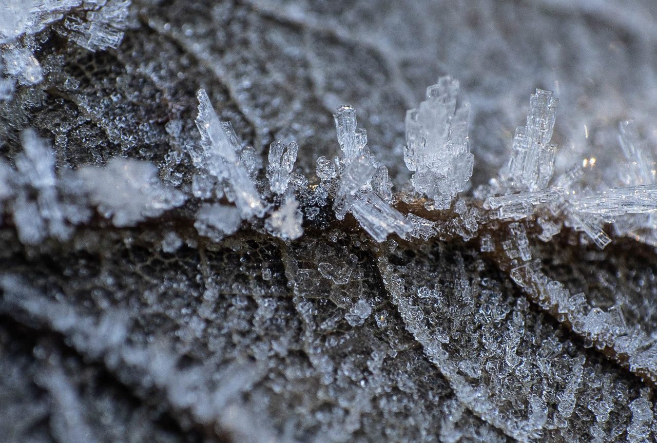 frost, close-up, winter, freezing, snow, cold temperature, macro photography, nature, ice, frozen, no people, selective focus, leaf, branch, day, textured, full frame, soil, backgrounds, outdoors, pattern, snowflake, water, beauty in nature