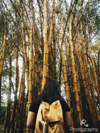 Rear view of woman sitting on tree trunk in forest