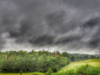 Scenic view of trees on field against storm clouds