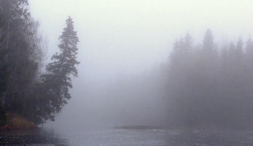 Scenic view of lake in foggy weather