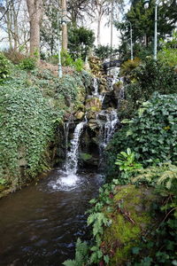 Scenic view of waterfall