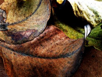Close-up of stone