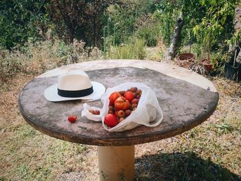 Breakfast on table in field