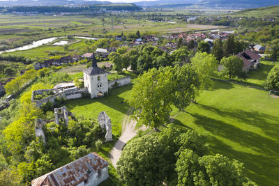 High angle view of trees and houses in village