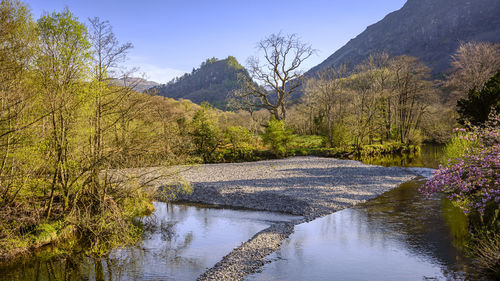 Scenic view of river amidst trees against sky during autumn