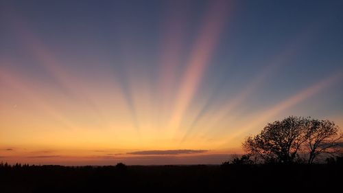 Scenic view of silhouette trees against sky during sunset