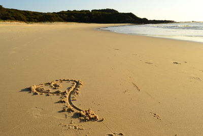 High angle view of footprints on beach