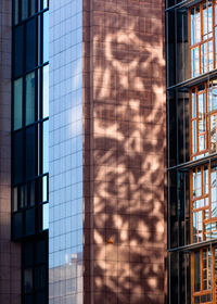 Low angle view of building seen through glass window