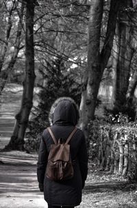 Rear view of person in hooded shirt walking against bare trees