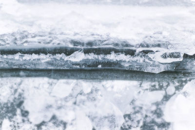 Close-up of frozen tree against sky