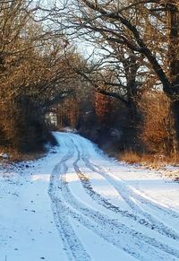 Road amidst bare trees during winter