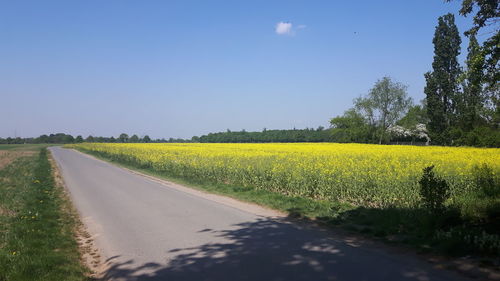 Road amidst field against sky