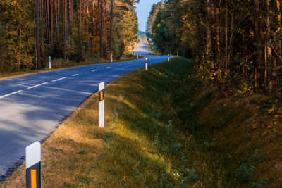 Road amidst trees in forest during autumn