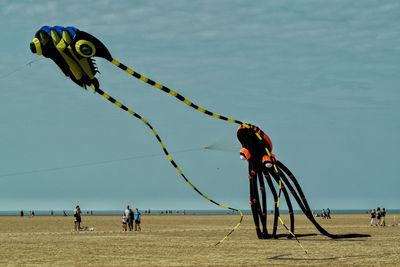 Kite festival 