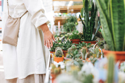 Crop photo of middle aged woman in white dress buys cactus green potted house plants at garden store