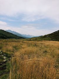 Scenic view of landscape against sky