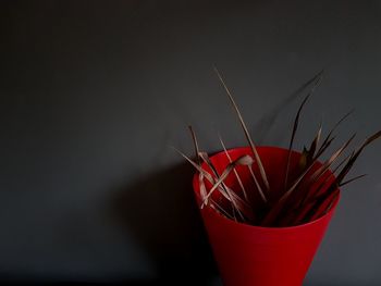 Close-up of drink against red background