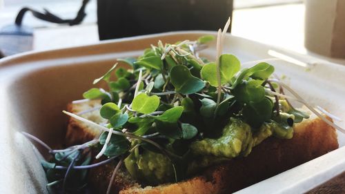 Close-up of food in bowl