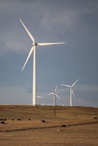 Wind turbines in field against cloudy blue sky with cattle