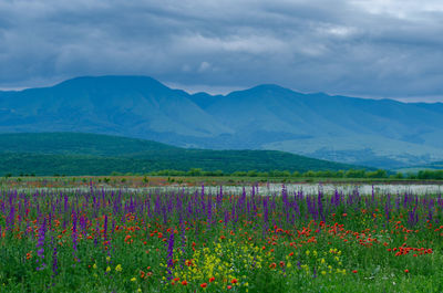 Scenic view of grassy field against cloudy sky