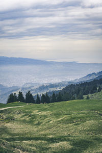 Scenic view of landscape against sky