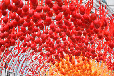 Low angle view of easter eggs hanging from ribbons on metallic arch