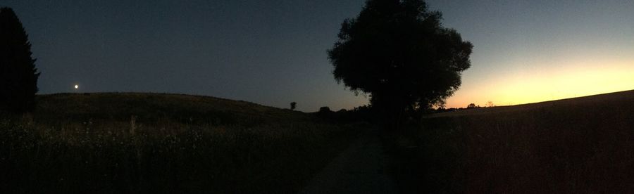 Silhouette trees against sky at night