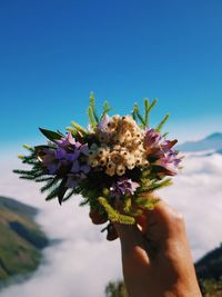 Low angle view of hand holding flower against sky