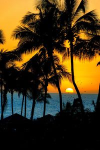 Silhouette palm trees on beach against sky at sunset