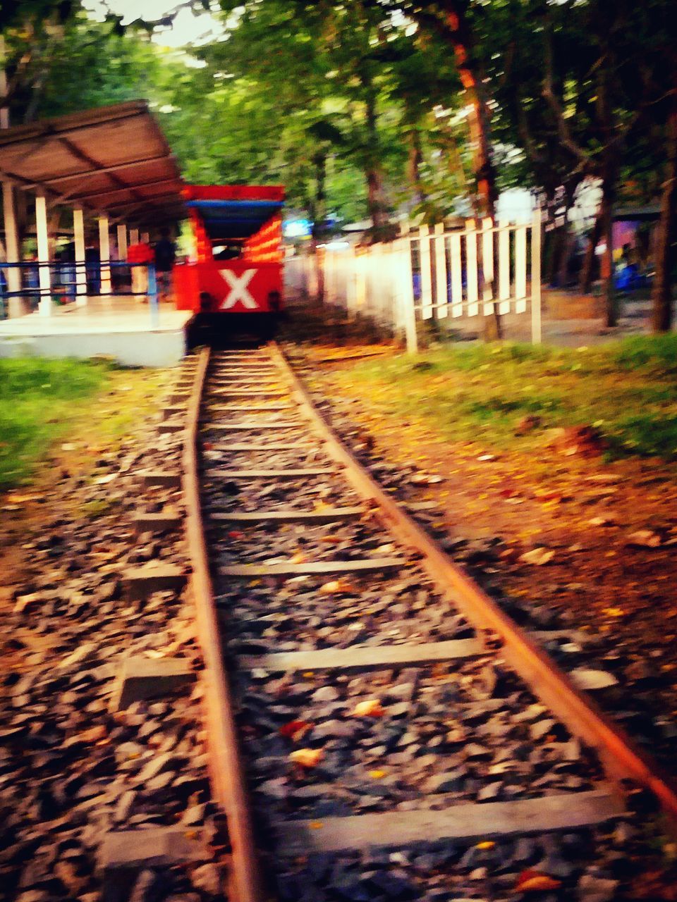 tree, railroad track, built structure, red, transportation, architecture, street, the way forward, day, selective focus, building exterior, rail transportation, incidental people, footpath, autumn, outdoors, focus on foreground, sidewalk