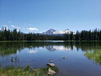 Scenic view of lake by trees against sky