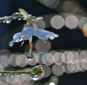 Close-up of illuminated lights