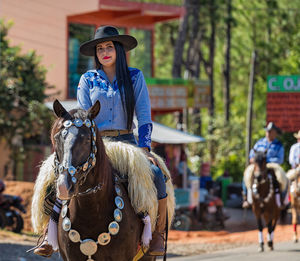 Teenage girl riding horse