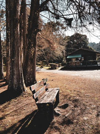 Bench by tree on field against buildings