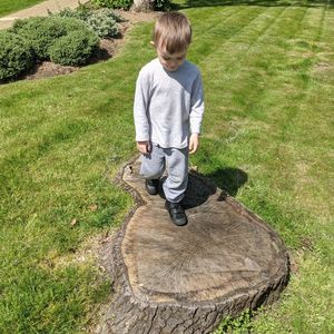 Full length of boy walking on tree stump