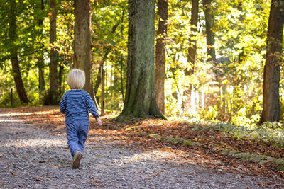 Rear view of man walking in forest