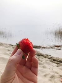 Close-up of hand holding strawberry at beach against sky