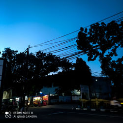 Low angle view of trees against blue sky